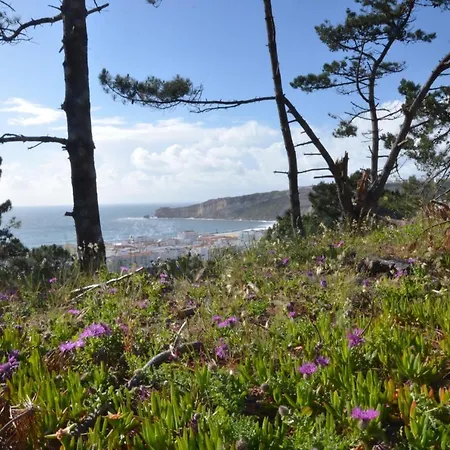 Lägenhet Bed & Seaside - Bola Da Nivea Nazaré