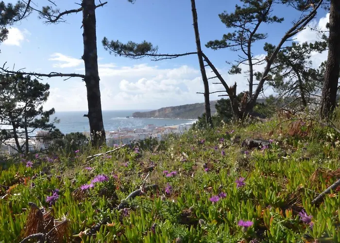 Appartamento Bed & Seaside - Bola Da Nivea Nazaré